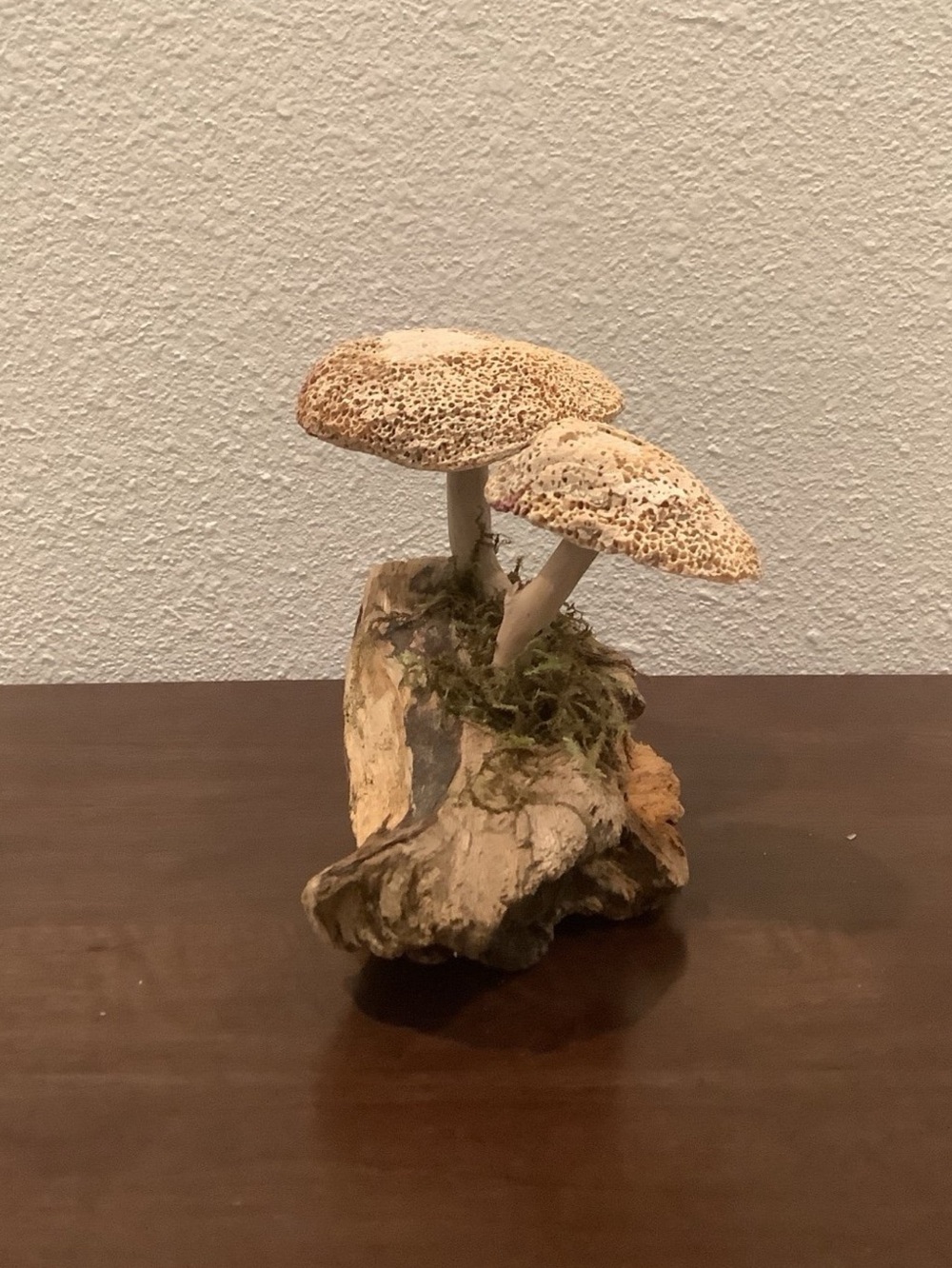 Driftwood Art, Driftwood & Seashell Mushrooms, Seashell Mushroom Art, Coastal - Picture 4 of 7